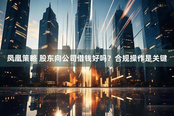 凤凰策略 股东向公司借钱好吗？合规操作是关键