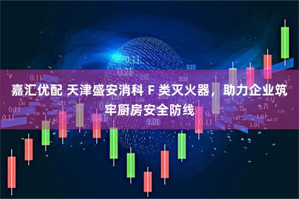 嘉汇优配 天津盛安消科 F 类灭火器，助力企业筑牢厨房安全防线