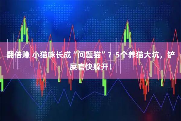 翻倍赚 小猫咪长成“问题猫”？5个养猫大坑，铲屎官快躲开！