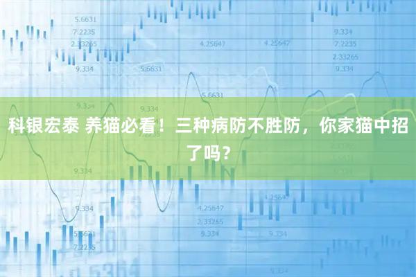 科银宏泰 养猫必看！三种病防不胜防，你家猫中招了吗？