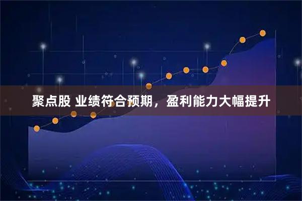 聚点股 业绩符合预期,盈利能力大幅提升