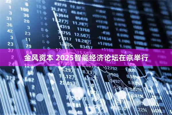 金风资本 2025智能经济论坛在京举行