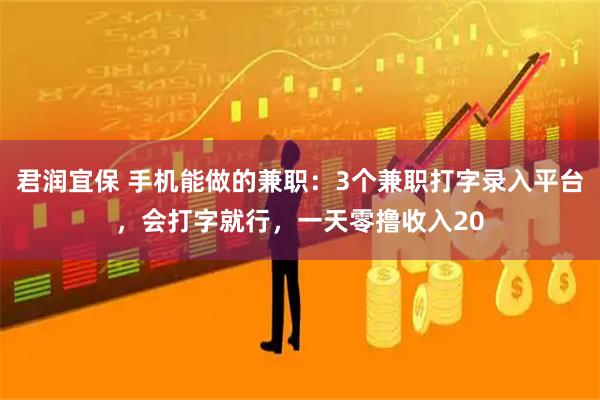君润宜保 手机能做的兼职：3个兼职打字录入平台，会打字就行，一天零撸收入20