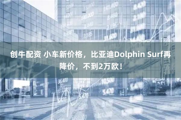 创牛配资 小车新价格,比亚迪Dolphin Surf再降价,不到2万欧!